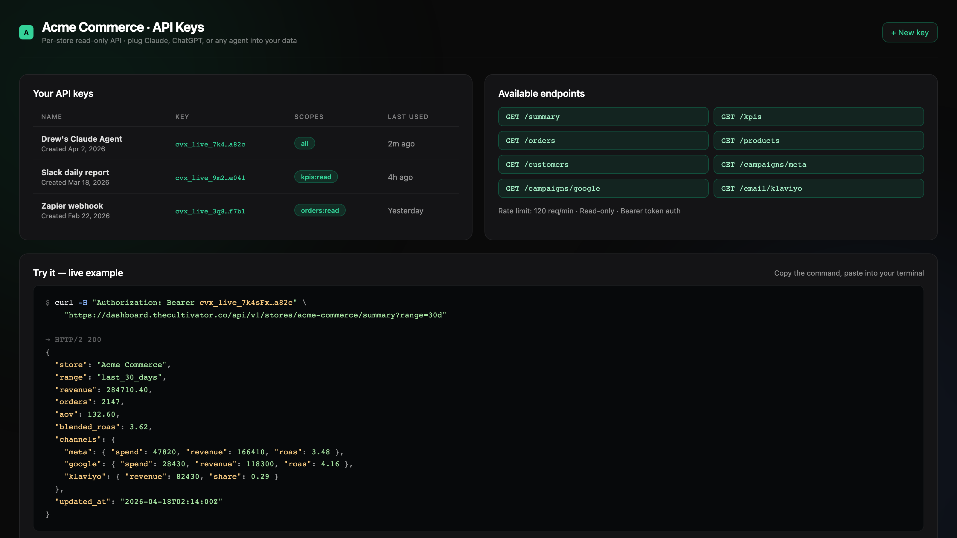 Per-store API keys page with endpoints list and a curl example returning JSON store summary